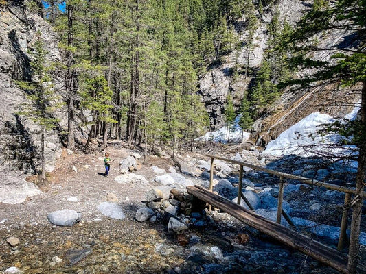 Heart Creek Trail: A Scenic Hike for All Ages and Abilities