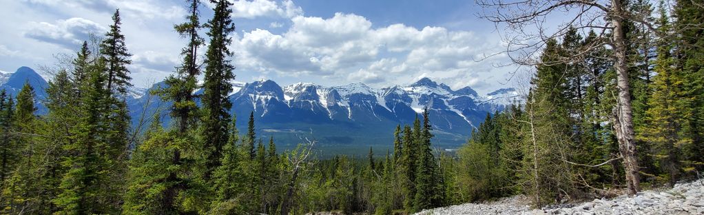 Montane Traverse Trail: A Scenic Hike with Stunning Views of Canmore