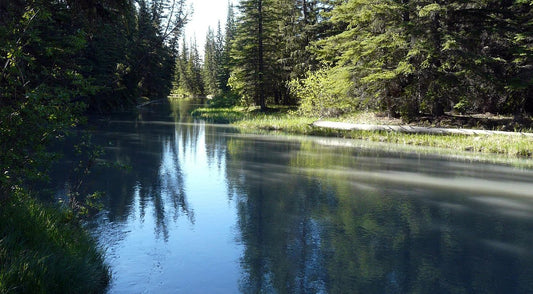 Fenland Trail: A Peaceful Stroll through the Canadian Rockies