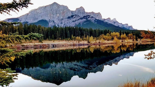 Quarry Lake Trail: A Beautiful Hike Near Canmore